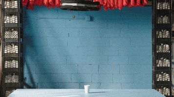 nyc dunk GIF by ADWEEK