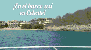 Spoot Celeste puente vacations. paradise GIF