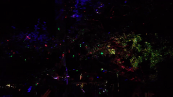 evaellida bateau music festival bmf17 GIF