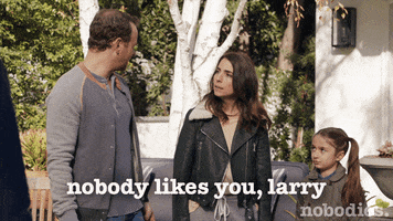 tv land no one likes you GIF by nobodies.