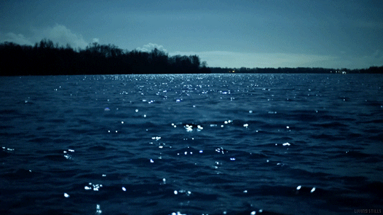 night lake GIF by Living Stills