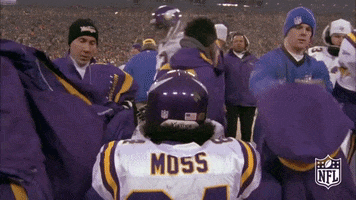 Minnesota Vikings Football GIF by NFL