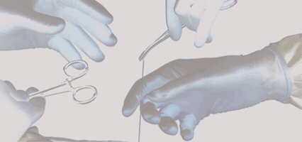 Placidway  GIF