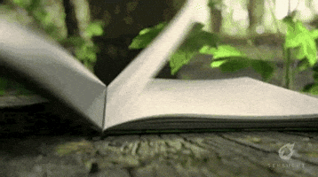 rita_celia  GIF