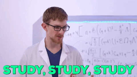 Studying College Life GIF by SoulPancake - Find & Share on GIPHY