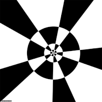black and white spiral GIF