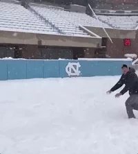 in your face snowball GIF