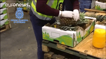 drugs pineapples GIF by euronews