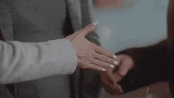 nice to meet you shake hands GIF by Hallmark Channel