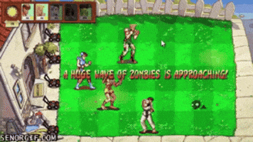 Street Fighter Videogames GIF by El Primer Mando