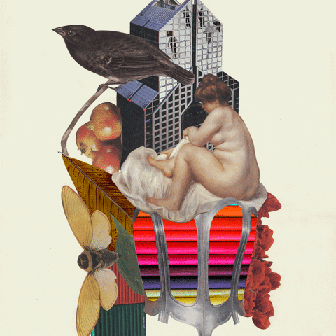 Paper Collage Woman GIF by Isabel Chiara
