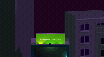 douglasdaquino cat gato acrobatics frontflip GIF