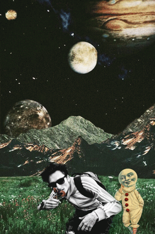 gadze  GIF