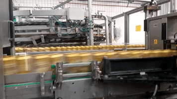 michellemontemor beer cerveja fabrica GIF