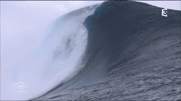 #Thalassa #Fannyagostini GIF