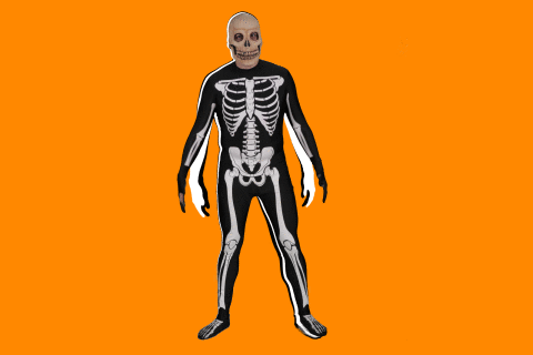 6ixy skeleton
