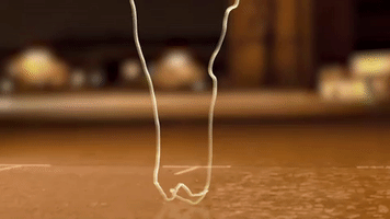 Sanderloopi dance animation dancing birthday GIF