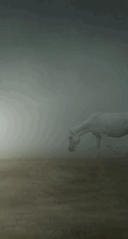 b3fb  GIF