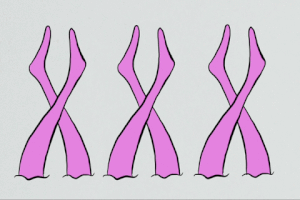 elioachache jo. presse. sport. elio. achache. gifdepresse. illustration. dessin animÃ©. GIF