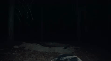 GIF by The Orchard Films