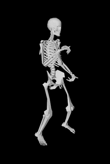 Digital art gif. An anatomical skeleton dances against a white background, first casually and then twerking.
