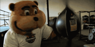 Big Ten Boxing GIF by Goldy the Gopher - University of Minnesota