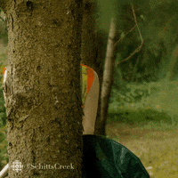 Spying Schitts Creek GIF by CBC