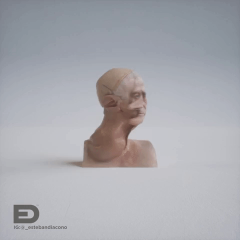 animation 3d GIF by Esteban Diácono