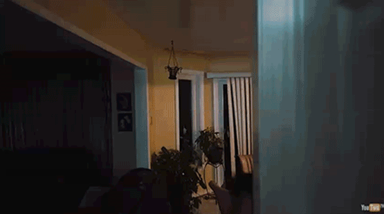 Scared Scary Movie Gif By Much Find Share On Giphy