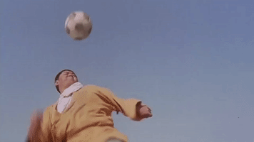 kung fu soccer GIF