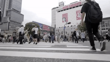 Red Bull Drink GIF by Red Bull Racing Honda