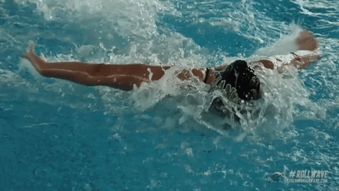 Pool Swimming GIF by GreenWave - Find & Share on GIPHY