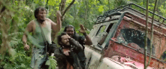 Indonesia Bee GIF