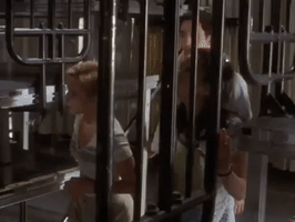 200.gif?cid=fc005b08b65b8984a6a92ff69536911c3216f2941f6fe9f5&rid=200.gif&ct=g