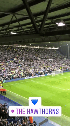 the hawthorns football GIF by West Bromwich Albion