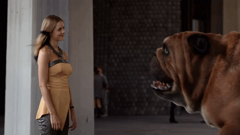 https://media2.giphy.com/media/3ohjV5NY3Ph4FIHSXm/giphy.gif?cid=790b761139e13152dad1c87c8067a140aacd7c56a5b3a6a5&amp;rid=giphy.gif&amp;ct=g