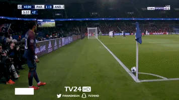 mohamedelsakary  GIF