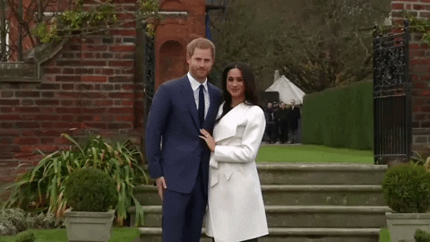Prince Harry GIF by euronews - Find & Share on GIPHY