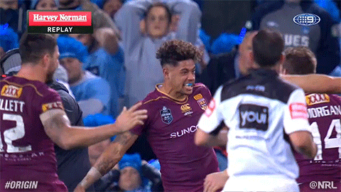 NRL Fantasy 2019 Part 23 - Page 51 Giphy