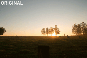 ericadalbellostringhini photoshop fotografia lightroom tratamento GIF