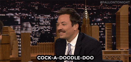 200.gif?cid=fc005b085017434feddcc29fbbcb213dd1a24040c861bee5&rid=200.gif&ct=g