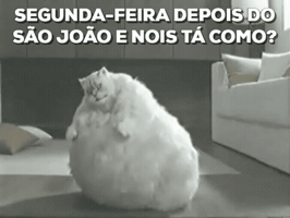 prefeituradosalvador  GIF