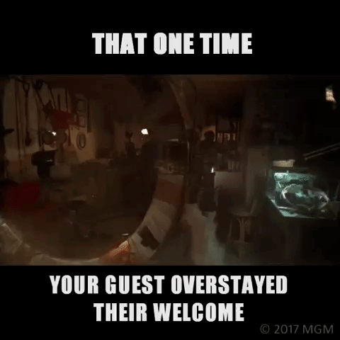 davidread  GIF
