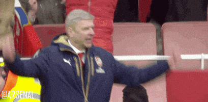 Happy Premier League GIF by Arsenal