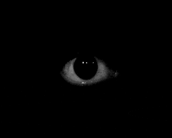 Video gif. A Black and white eye surrounded by pitch blackness. The eye looks around nervously, exposing its bloodshot sclera.  