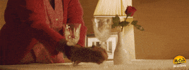 Night Love GIF by McCain