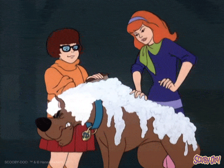 Dog Cartoon GIF by Scooby-Doo