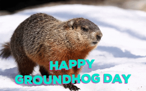 Groundhog Day Gifs Get The Best Gif On Giphy