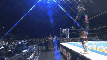 Pro Wrestling GIF
