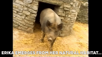 Erika GIF